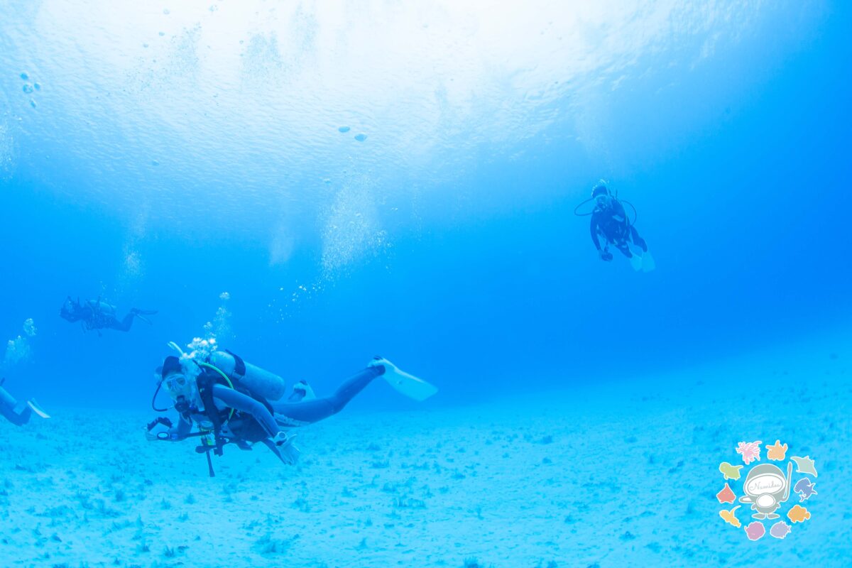 Namidea 今週はプール講習から！