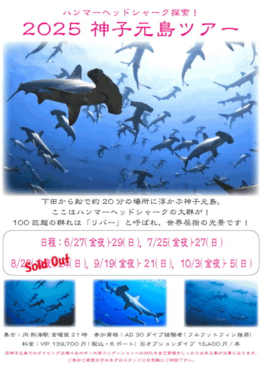 Namidea 2025神子元島ツアー！
