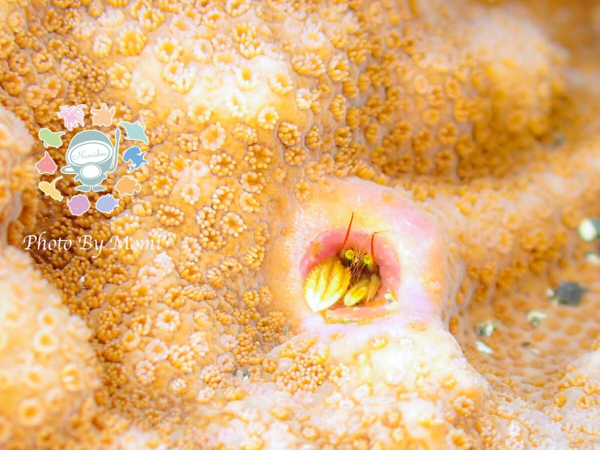 Namidea GW明けは快晴でスタート！