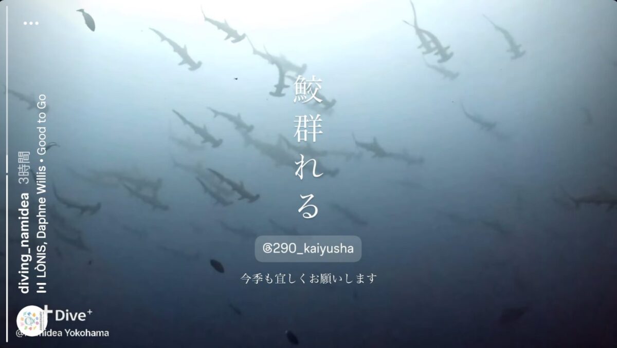 神子元島ツアー
