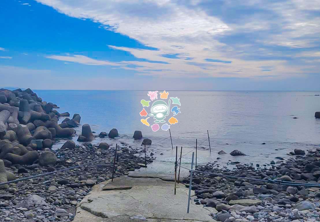 Namidea 今日もダイバー誕生！