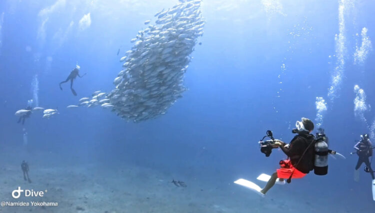 Namidea 渡嘉敷島&粟国島同時開催ツアー閉幕❗️