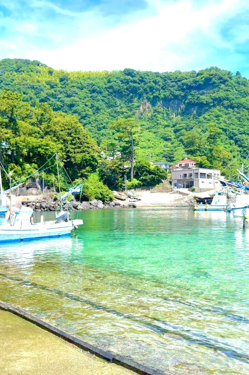 Namidea 快晴のヨコバマツアー&ライセンス講習開催！