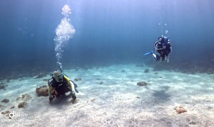 Namidea 水中も夏模様に!