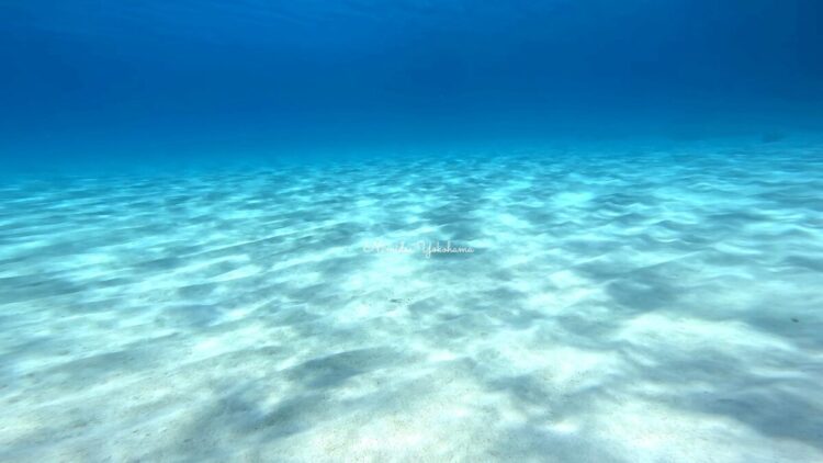 渡嘉敷島ツアー
