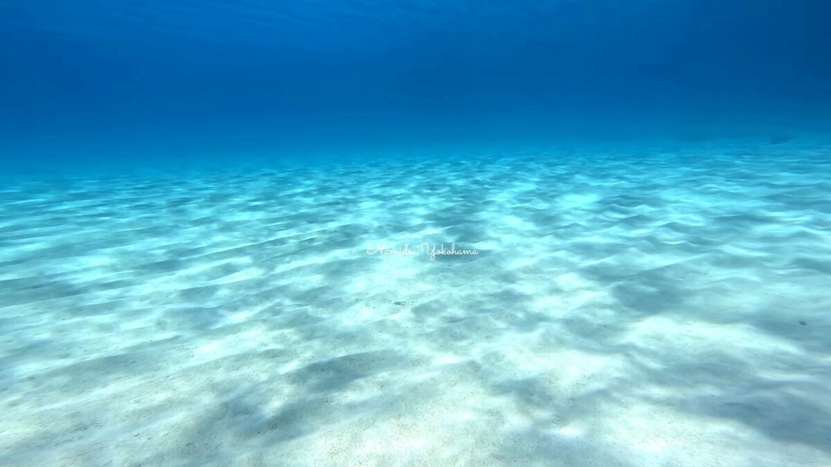 渡嘉敷島ツアー