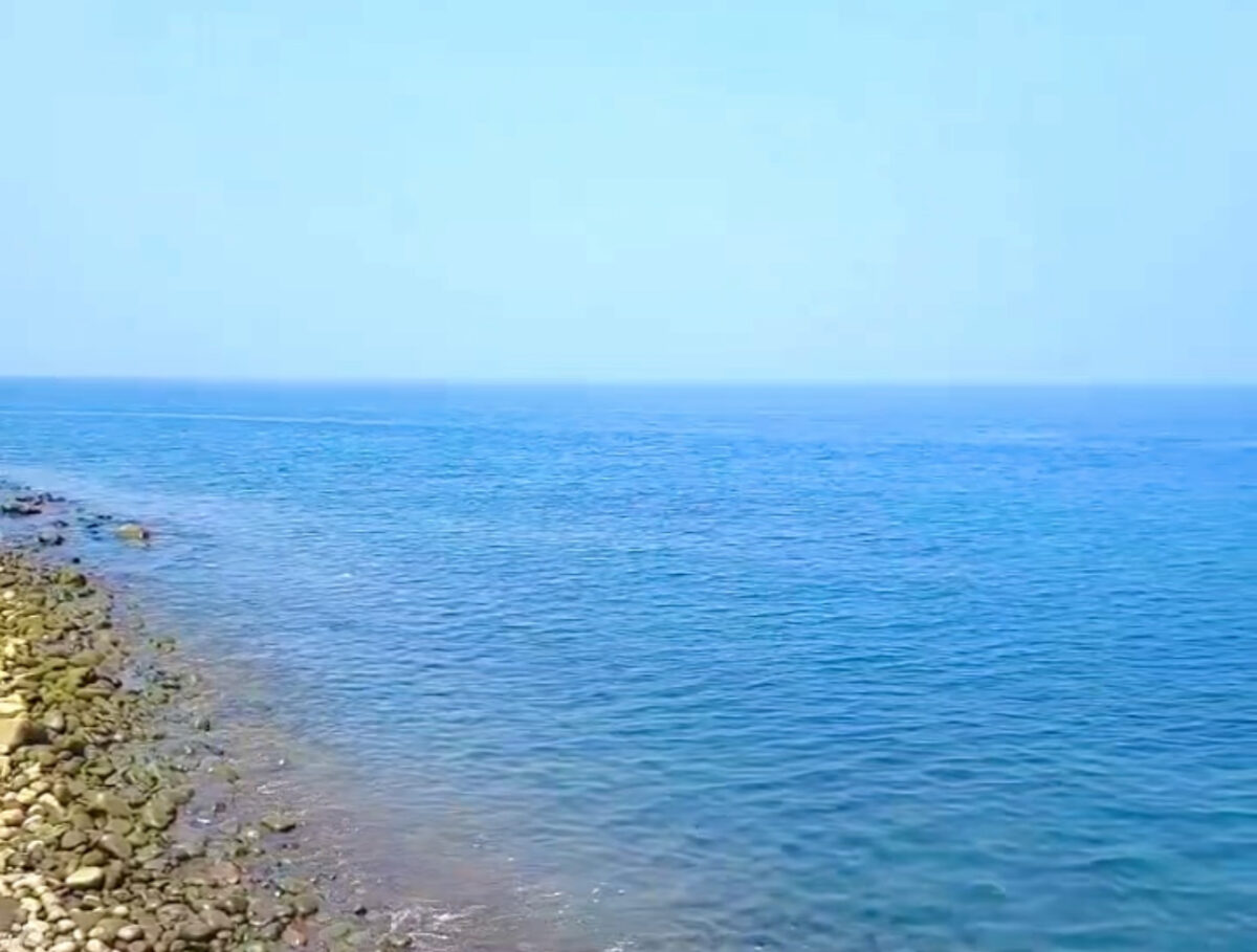 Namidea 井田ビーチツアー！