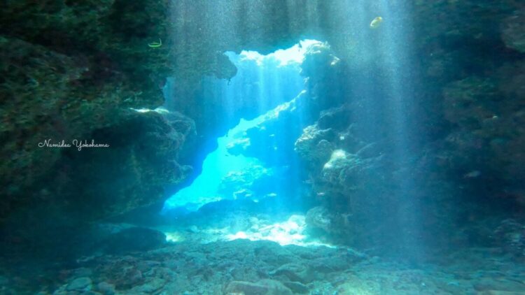 渡嘉敷島ツアー