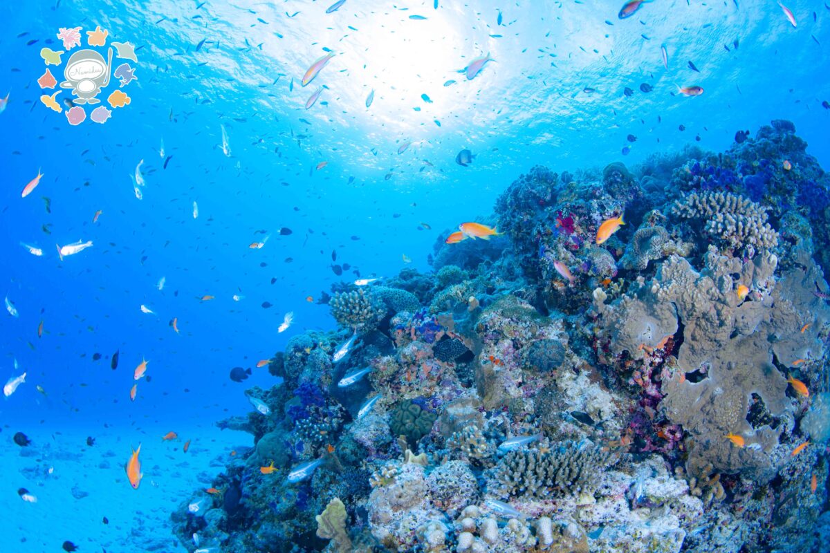 Namidea 台風が気になる火曜日！