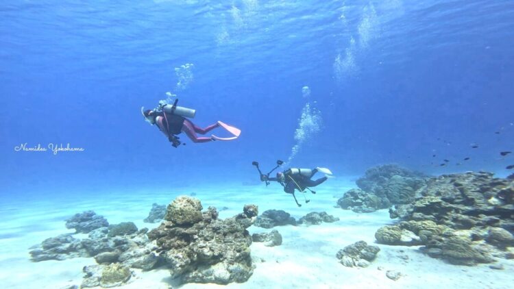 渡嘉敷島ツアー