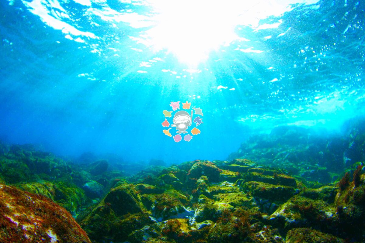 Namidea 真夏の連休スタート！