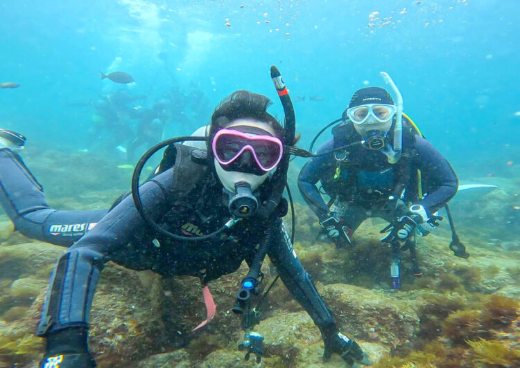 Namidea 真夏の連休初日は伊豆海洋公園へ!