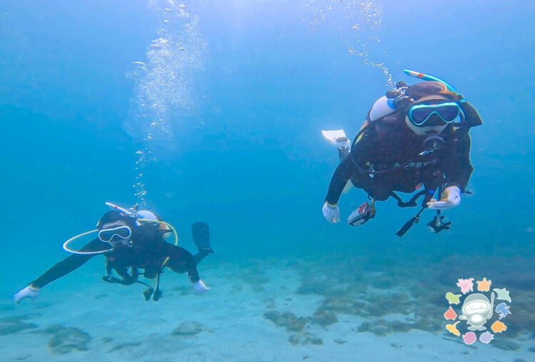 Namidea 連休最終日はアドバンスダイバー誕生!