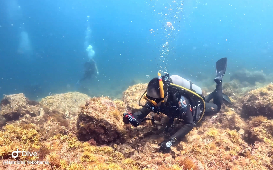 Namidea 初島でカメラ特訓！