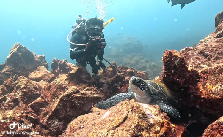 Namidea 2025年8月最終日❗️この夏も皆様有難うございましたー😆
