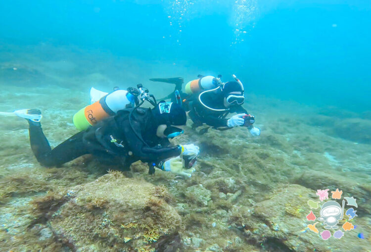 Namidea 連休最終日はアドバンスダイバー誕生!