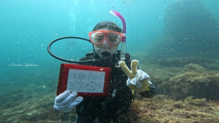 Namidea 富戸でメモリアルダイビング🎉体験チームは真鶴へ🐠