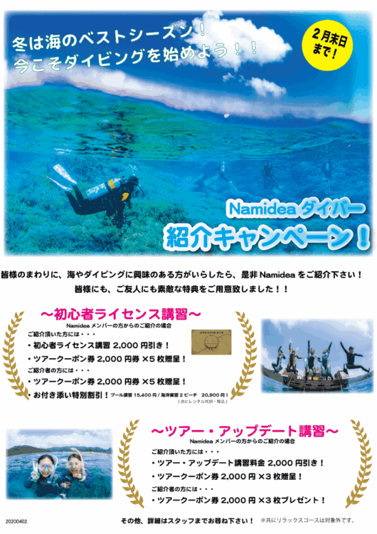 Namidea 2026冬のダイバーキャンペーン!