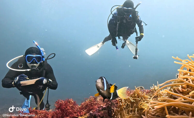 Namidea 連休中日は大島&プール講習🤿