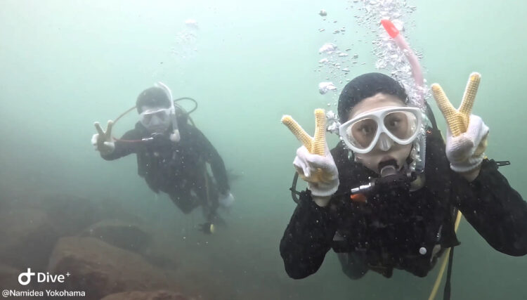 Namidea 連休最終日❗️ナミディアダイバー続々誕生🎉🤿