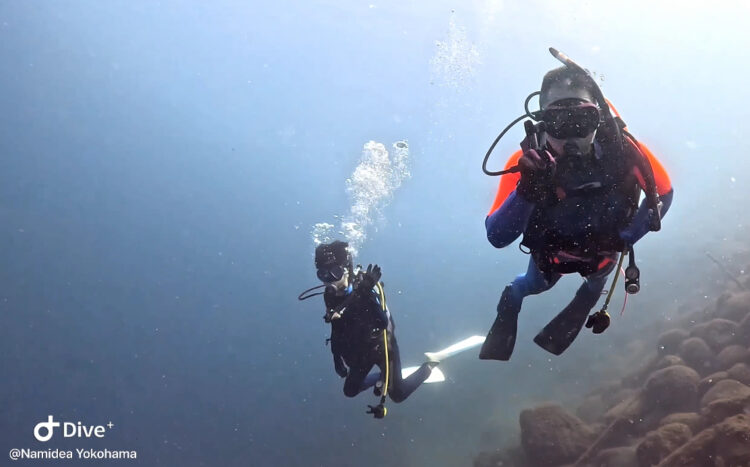Namidea スズメダイ大乱舞の秋の井田ビーチツアー開催🐟🐟🐟