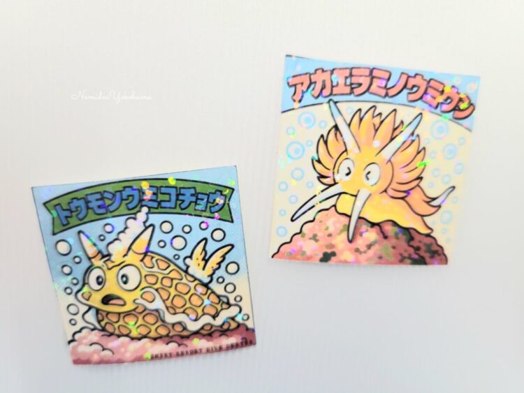 サンセットリゾート ウミウシシール