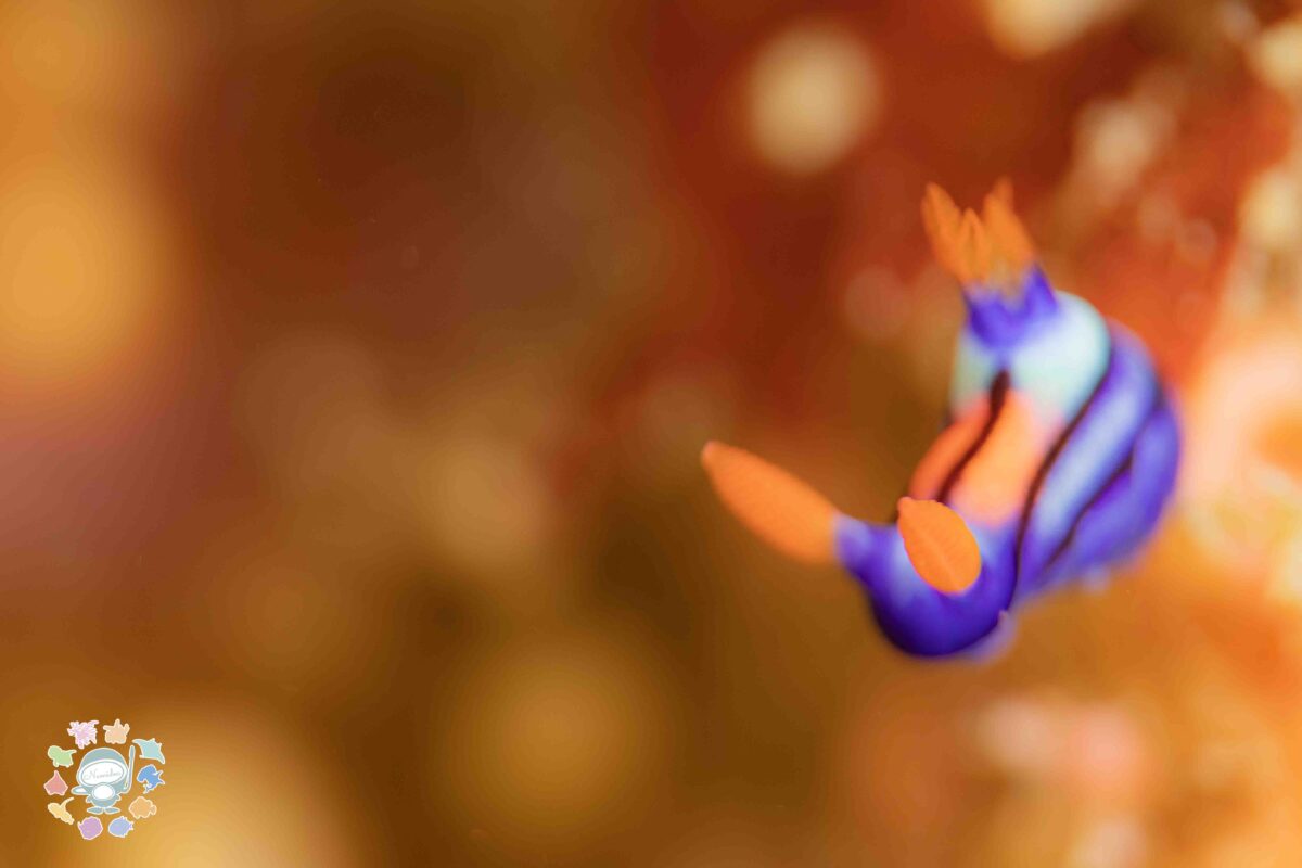 Namidea 連休前の金曜日！