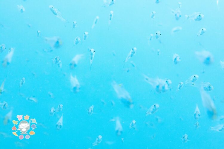 Namidea 今週の葉山ボートけいたちゃんのカメラ日記📷