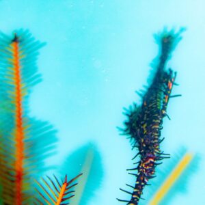 Namidea 今週の葉山ボートけいたちゃんのカメラ日記📷