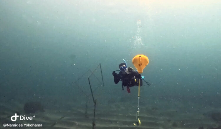 Namidea 台風明けで台風前の連休スタート🌀