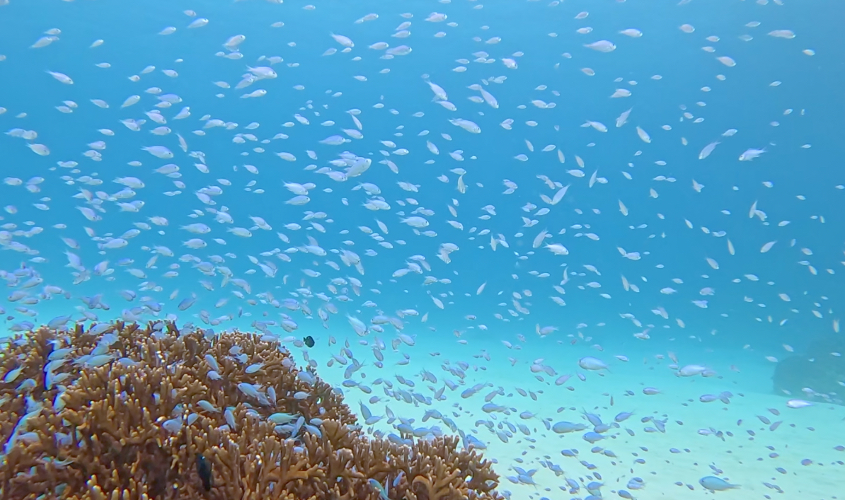 Namidea 連休明けの火曜日！