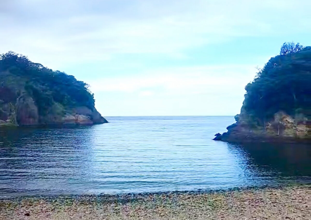 Namidea 西伊豆浮島ボートツアー！