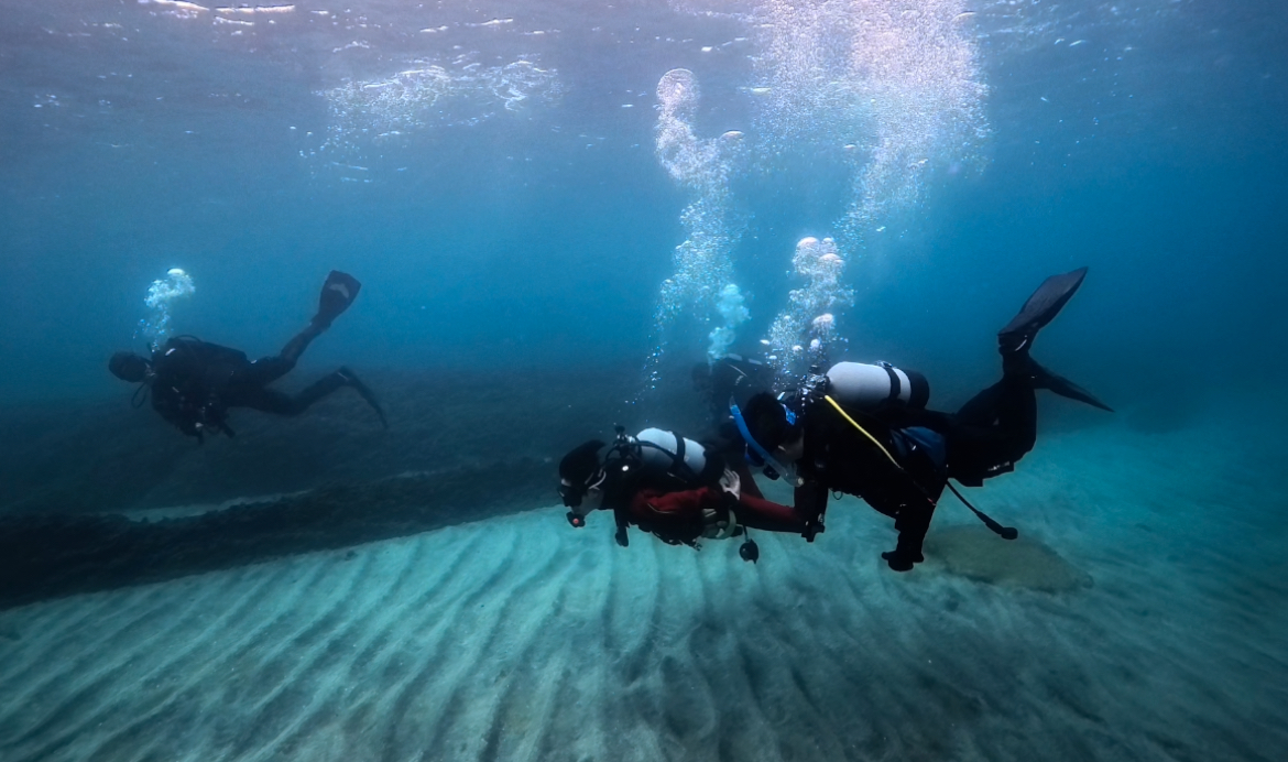 Namidea 12月最後の週末はプロ目指して城ヶ島へ💪