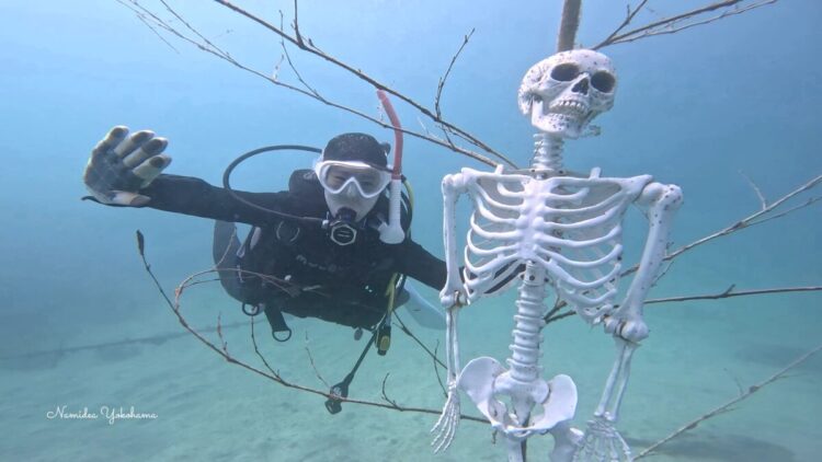 福浦 ハロウィーン
ガイコツ