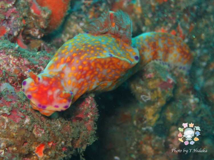 Namidea 2チームで城ヶ島へ✨ボートにビーチに大満喫👍