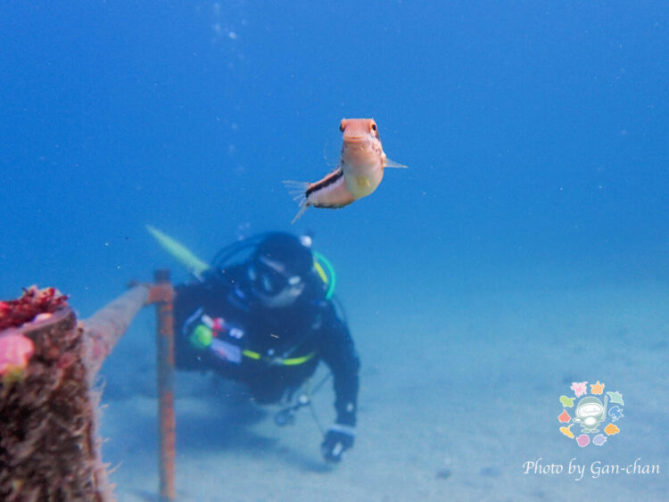 Namidea 2チームで城ヶ島へ✨ボートにビーチに大満喫👍
