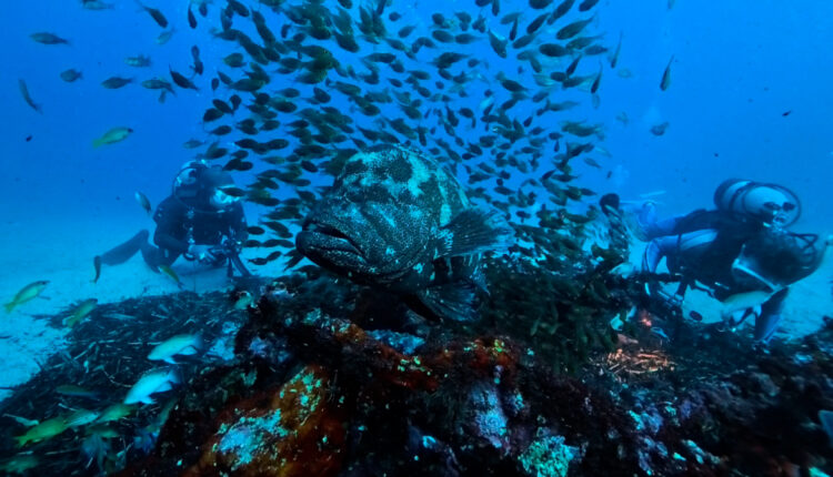 Namidea 初🎉屋久島ツアー日記❗️