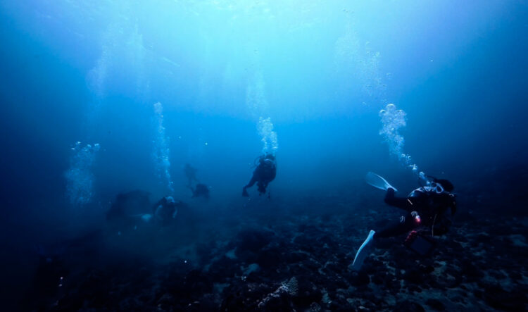 Namidea 初🎉屋久島ツアー日記❗️