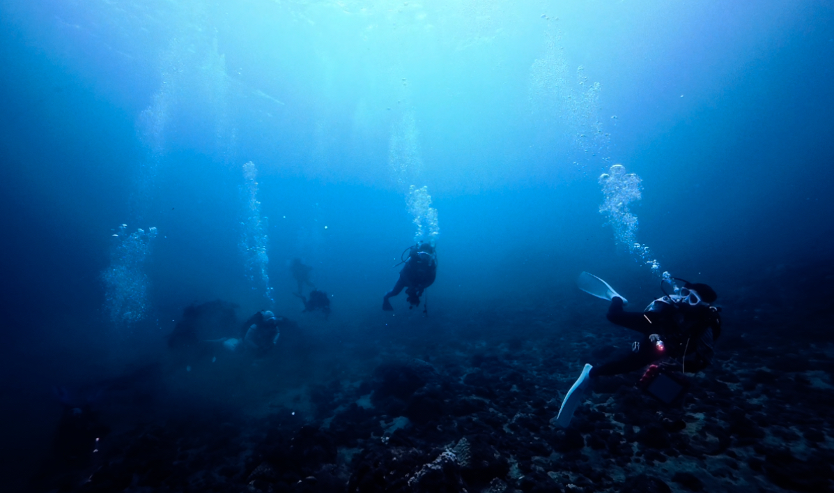 Namidea 初🎉屋久島ツアー日記❗️