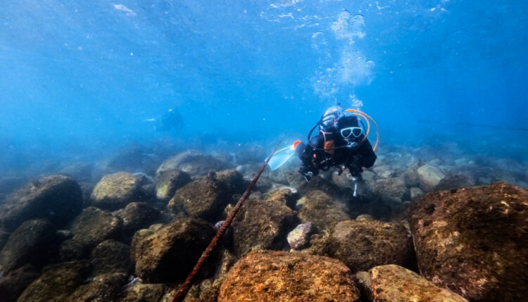 Namidea 平日江之浦でのんびりダイビング✨