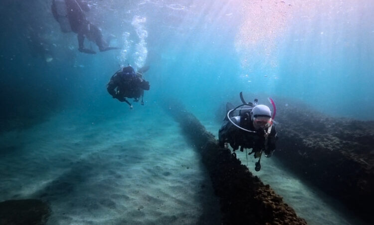 Namidea 城ヶ島でドライセミナー&お店では学科講習開催✏️