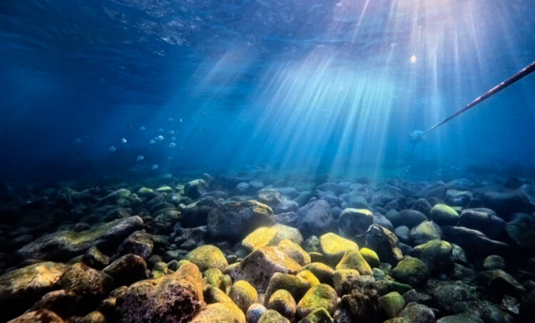 Namidea 富戸の海でトレーニング👍大好きな季節になって来たー🎉