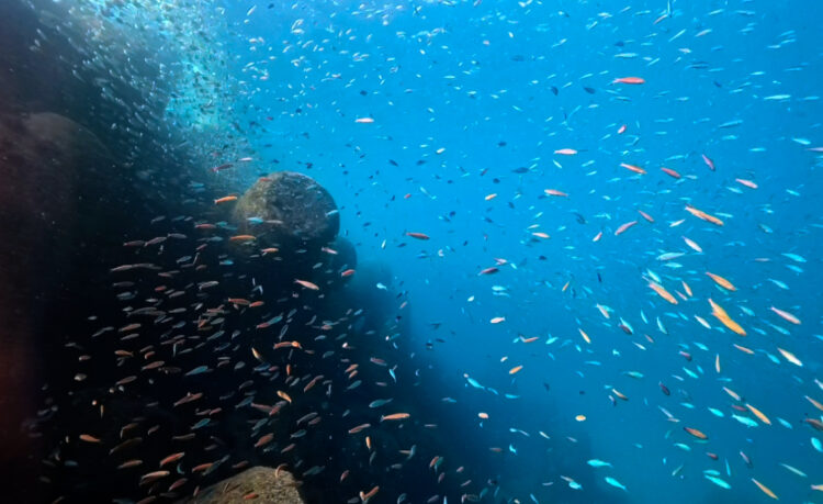 Namidea 富戸の海でトレーニング👍大好きな季節になって来たー🎉