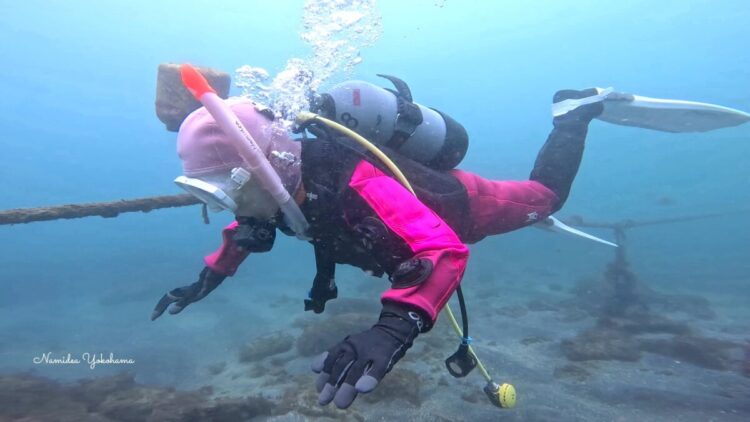 ライセンス講習