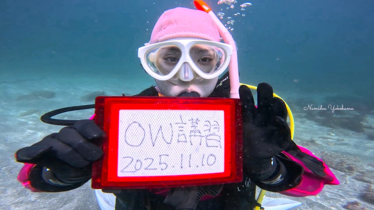 ライセンス講習