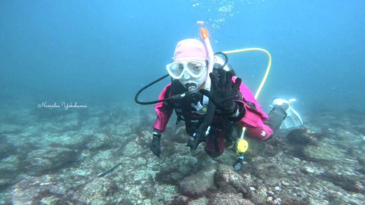 ライセンス講習