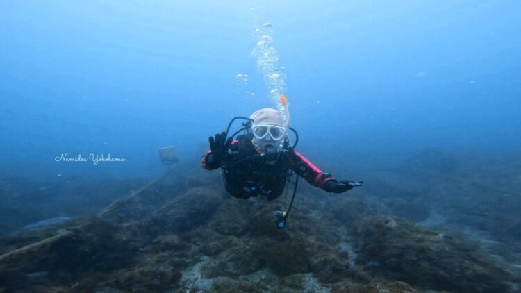 ライセンス講習