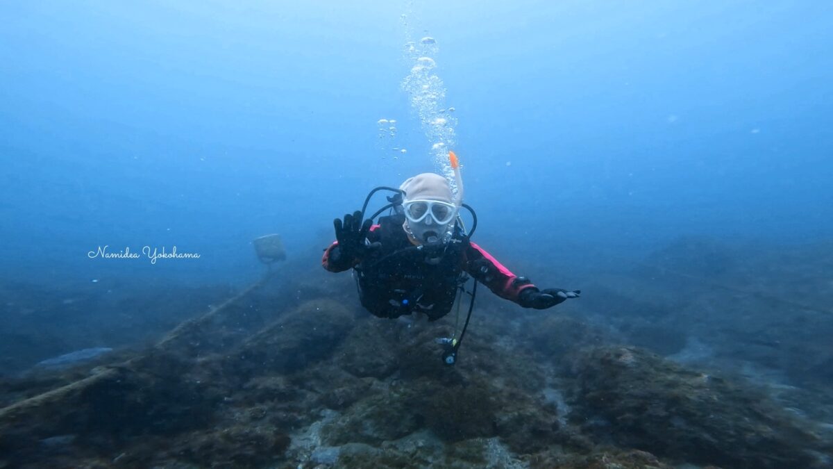 Namidea ライセンス講習！