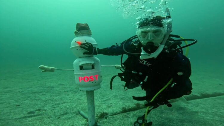 Namidea Xmasモード満喫🎄平日ツアー開催🎉