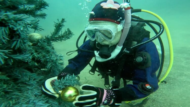 Namidea Xmasモード満喫🎄平日ツアー開催🎉